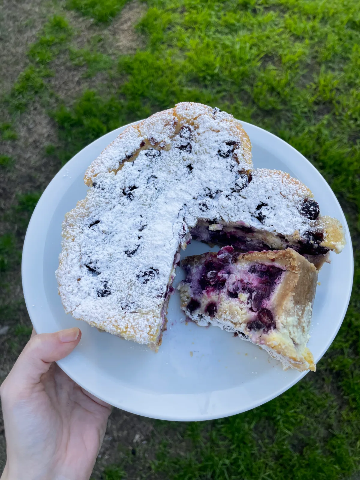 Cheesecakes · Limón y Arándanos