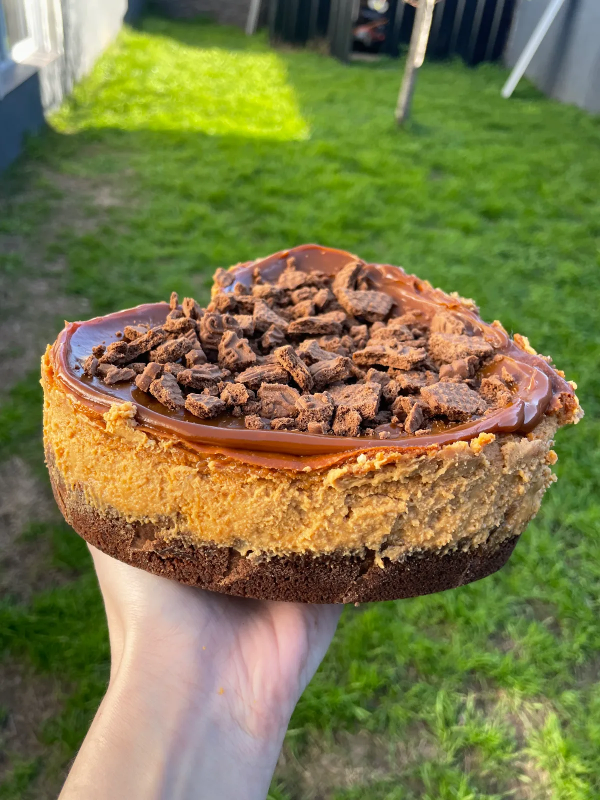 Cheesecakes · Dulce de Leche